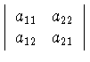 $\left\vert
\begin{array}{ll}
a_{11} & a_{22}\\ a_{12} & a_{21}
\end{array}
\right\vert$