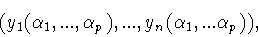 \begin{displaymath}(y_1 (\alpha _1 ,...,\alpha _p ),...,
y_n (\alpha _1 ,...\alpha _p )),\end{displaymath}