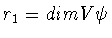 $r_1 = dimV\psi$