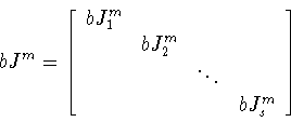 \begin{displaymath}bJ^m=
\left[
\begin{array}{llll}
bJ_1^m& & & \\
&bJ_2^m& & \\
& & \ddots& \\
& & &bJ_s^m
\end{array}
\right]
\end{displaymath}