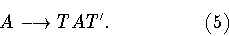 \begin{displaymath}A\longrightarrow TAT^{\prime}. \hspace{2cm} (5)\end{displaymath}